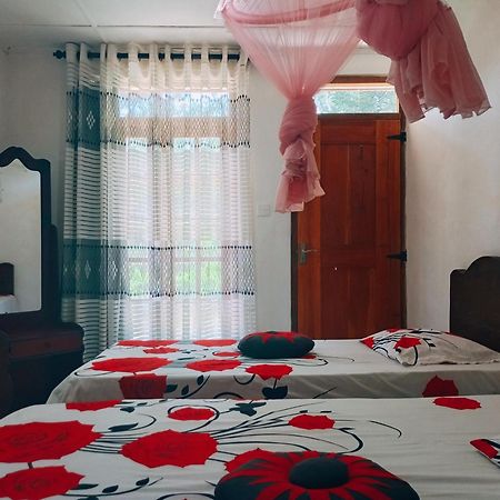 Pleasure Mount Homestay 엘라 외부 사진