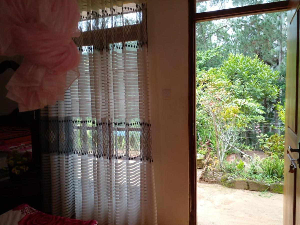 Pleasure Mount Homestay 엘라 외부 사진